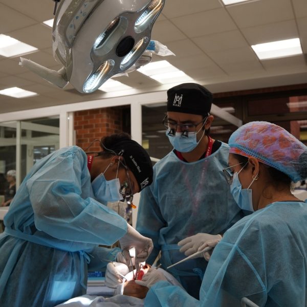 Live Soft Tissue Management Training