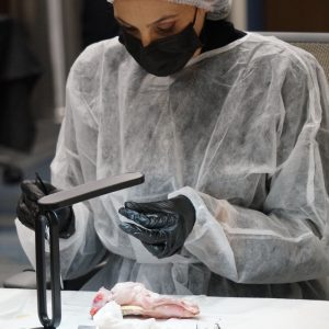 Advanced Hard and Soft Tissue Track