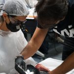 Soft Tissue Module 2