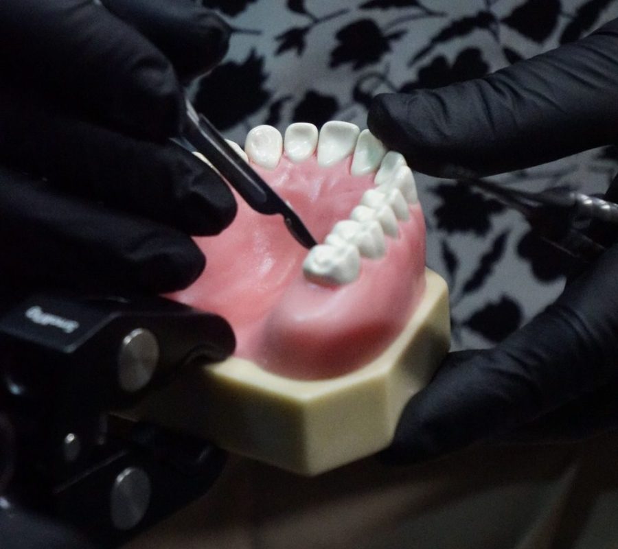 Soft Tissue Module 1