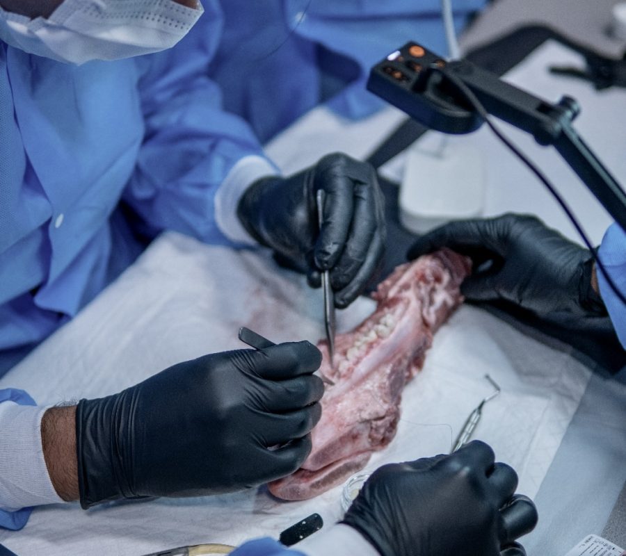 implant course module 4